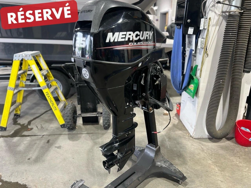 Mercury F25 Elpt 2013 alt