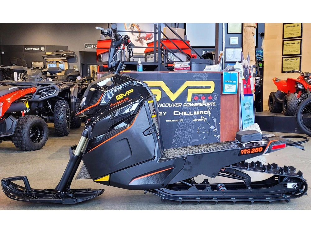 2024 Widescape Ws250 alt