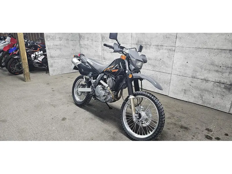 2025 Suzuki DR650SE