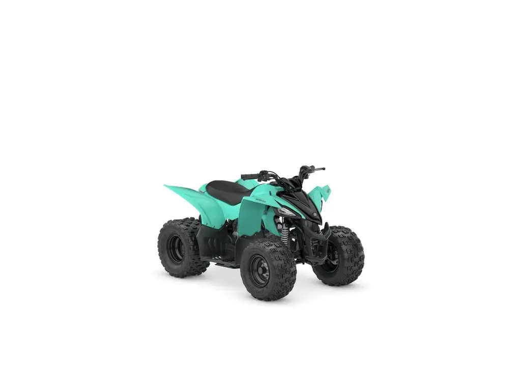 2025 Yamaha YFZ50YYXSG 