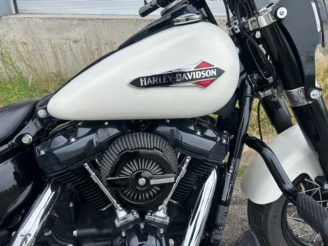 2018 Harley-Davidson FLS Softail SlimFLS