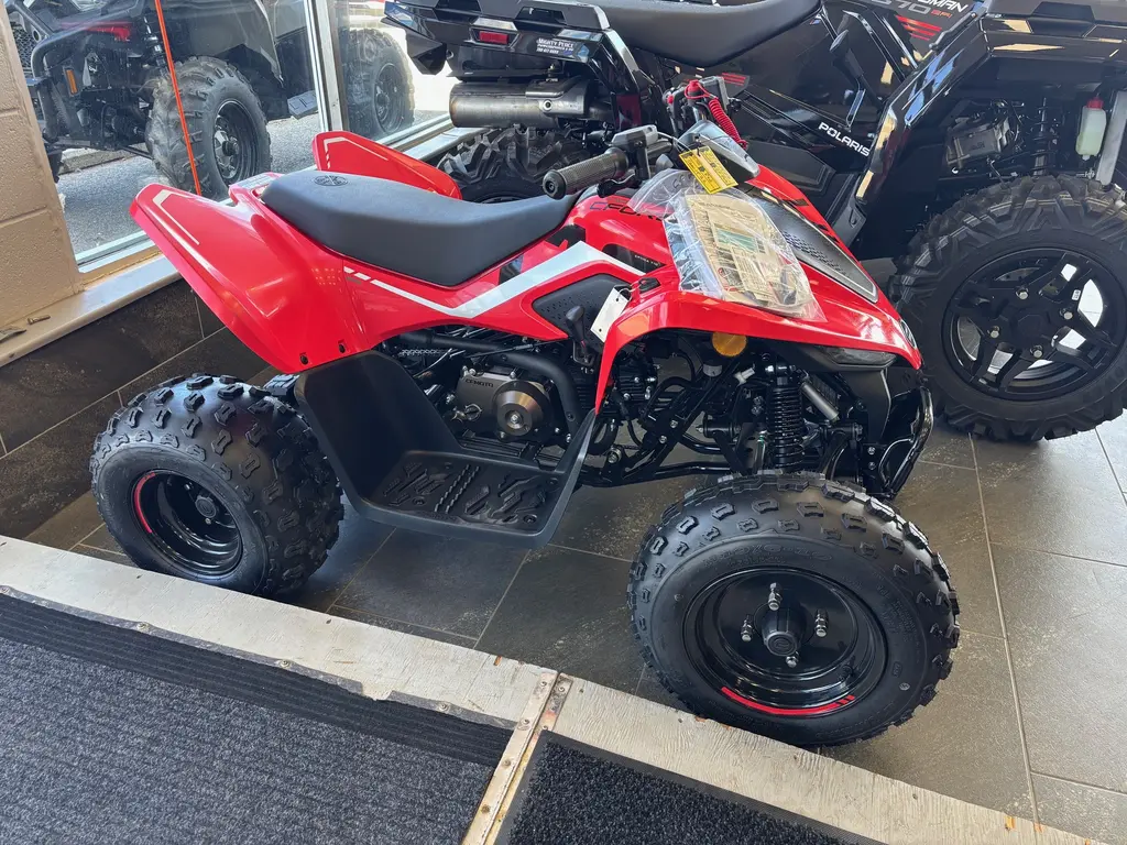 2025 CFMOTO CForce 110
