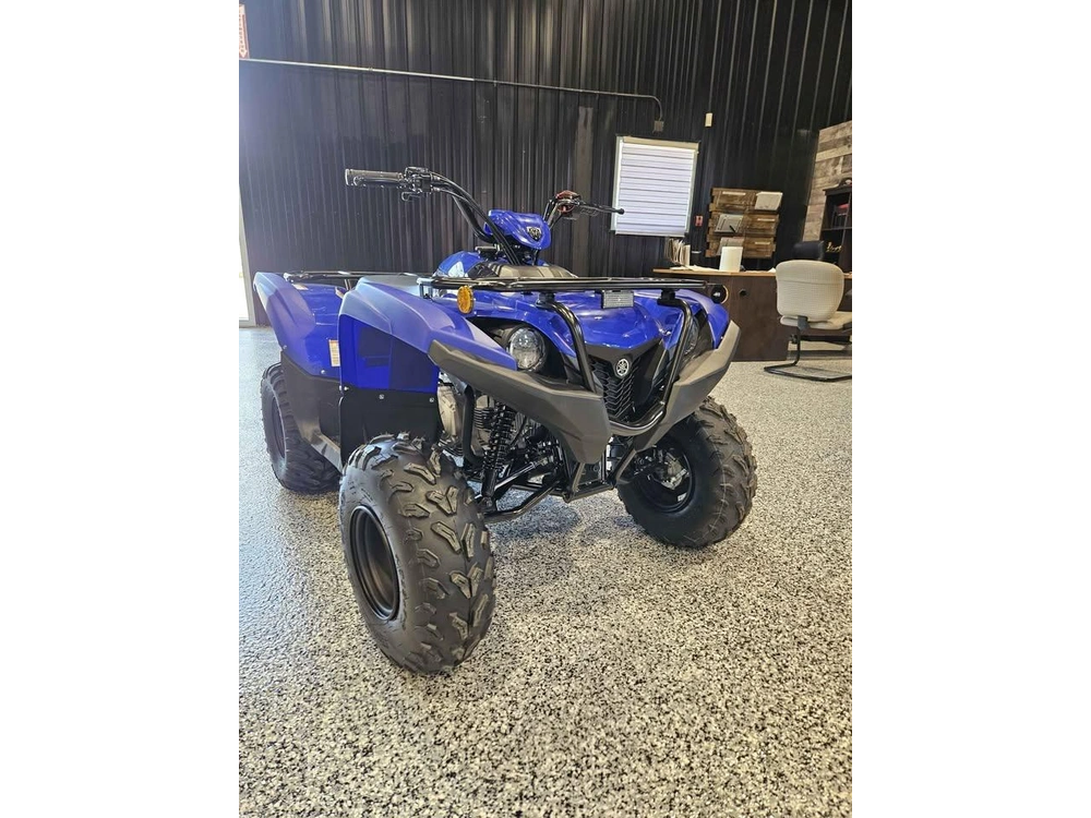 Yamaha Grizzly 110 2025 alt