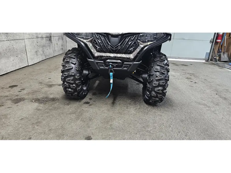 2025 CFMOTO C FORCE 600