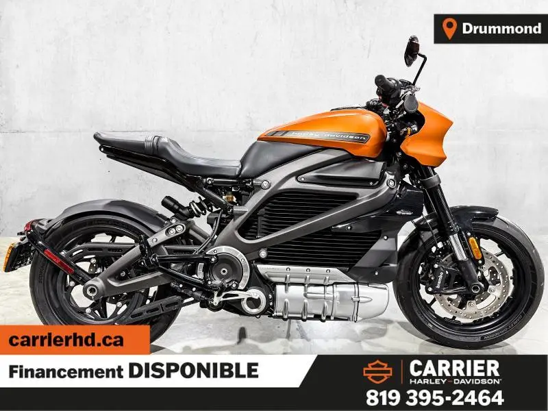 2020 Harley-Davidson LIVE WIRE