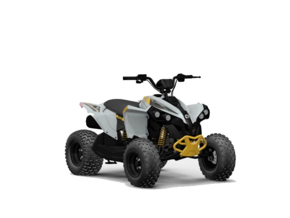 2024 Can-am Renegade 70 Efi