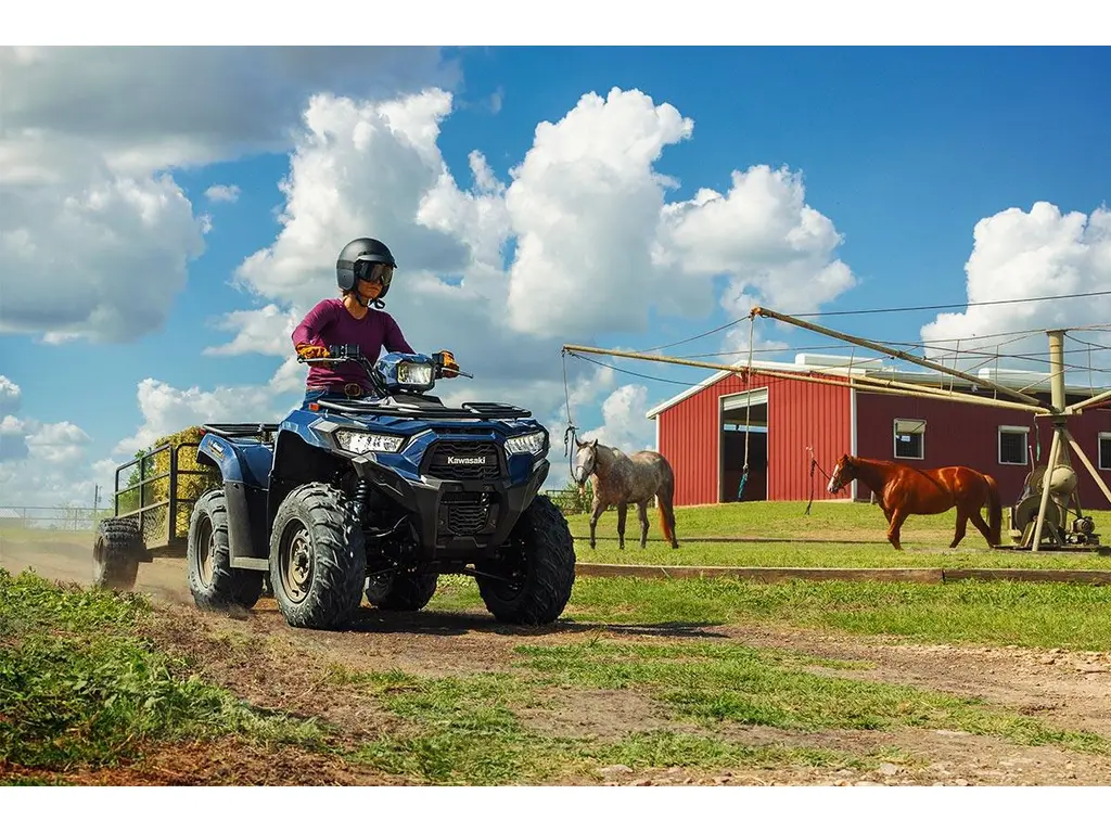 2025 Kawasaki BRUTE FORCE 450 