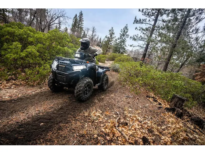 2025 Kawasaki BRUTE FORCE 750 EPS