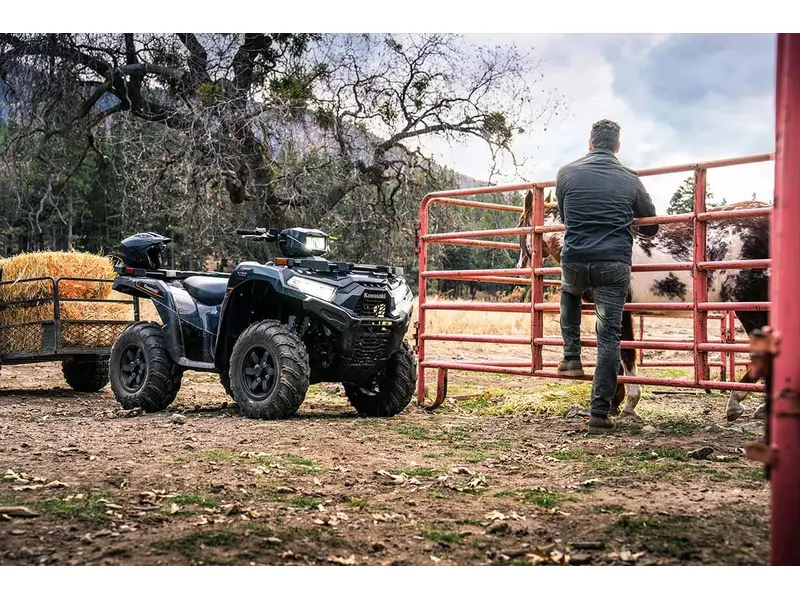 2025 Kawasaki BRUTE FORCE 750 EPS