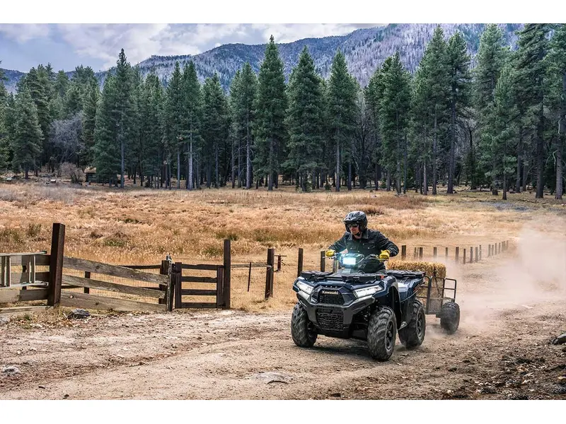 2025 Kawasaki BRUTE FORCE 750 EPS