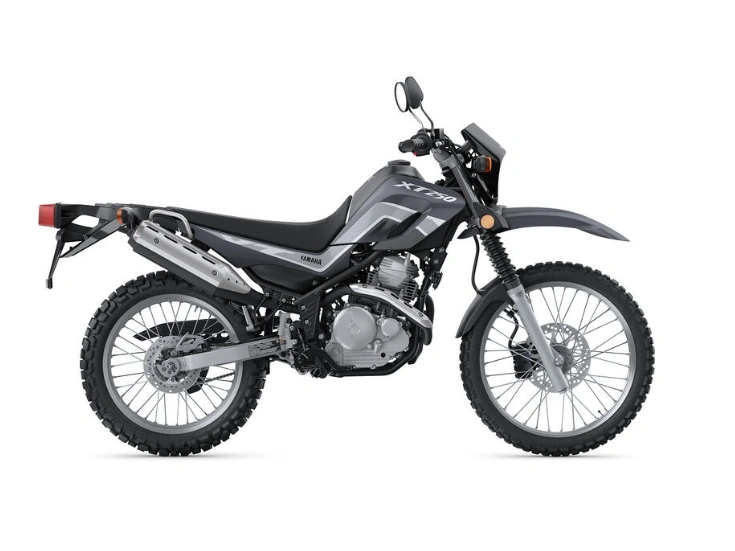 2024 Yamaha Tenre 700 alt