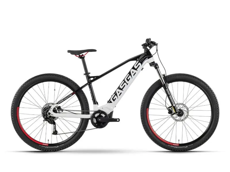 2022 GASGAS XL