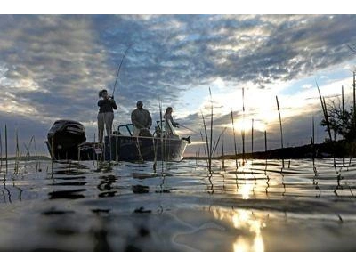 2025 Lund 1775 Adventure Sport Mercury 115elpt Pro Xs alt