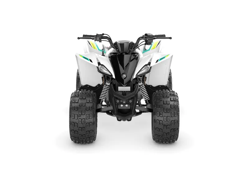 2022 Yamaha Raptor 50
