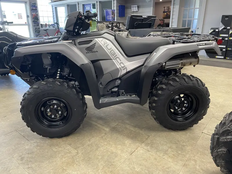 2025 Honda 2025 Honda RUBICON IRS EPS - Gray
