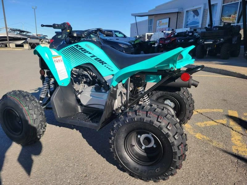 2025 Yamaha Raptor 110 alt