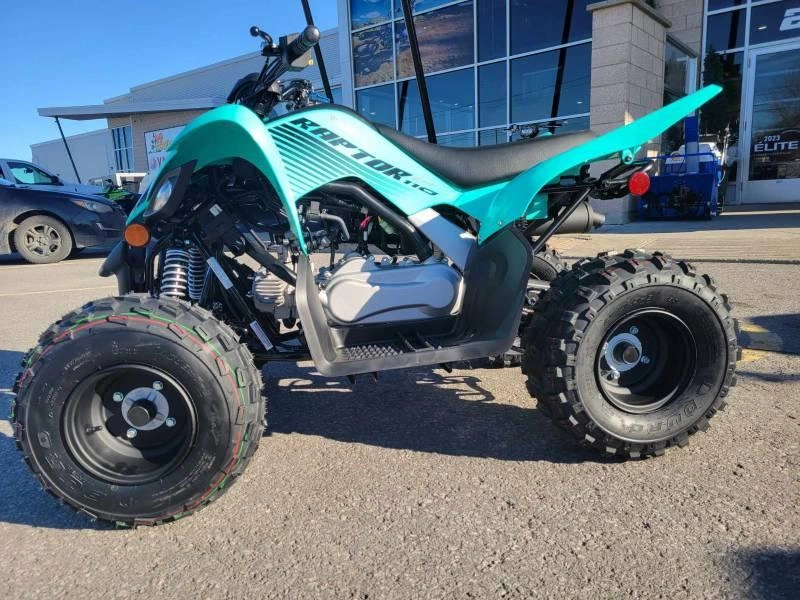 2025 Yamaha Raptor 110 alt