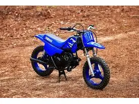2025 Yamaha PW50