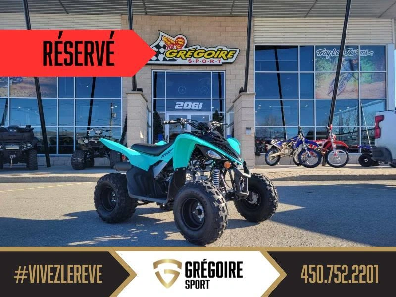 Yamaha Raptor 110 2025 alt