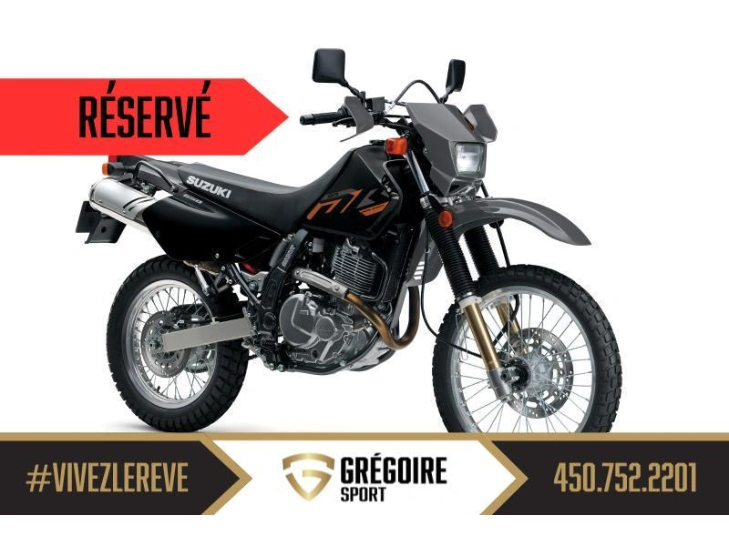 2025 Suzuki Dr650se alt