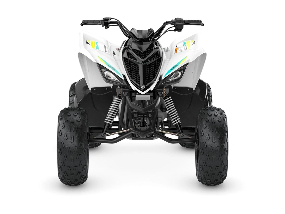 Yamaha Raptor 90 2023 alt