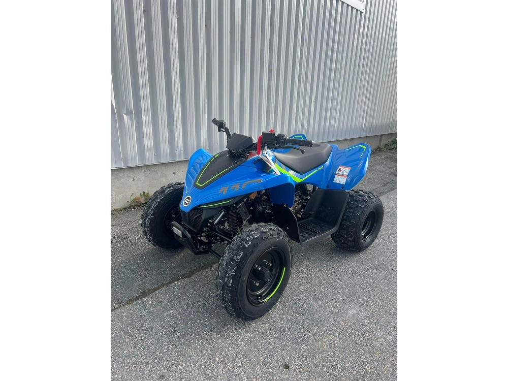 2025 Cfmoto Cforce 110 Classic alt