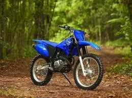 2025 Yamaha TT-R 230