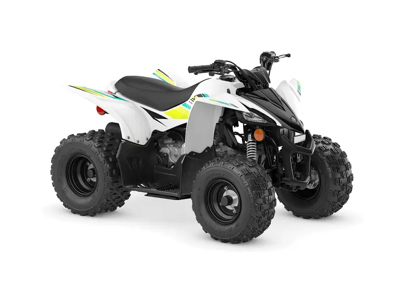 2022 Yamaha Raptor 50