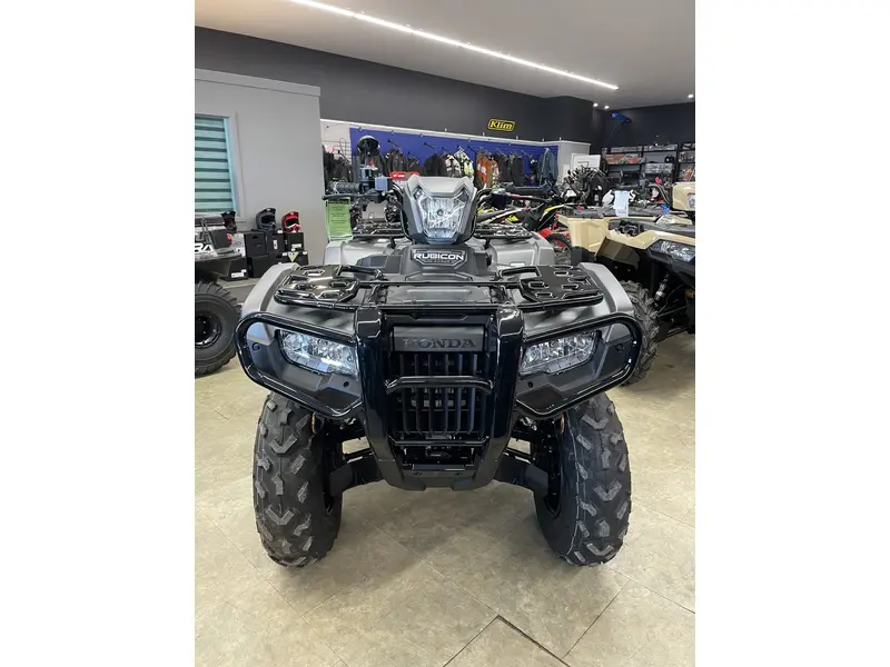 2025 Honda 2025 Honda RUBICON IRS EPS - Gray