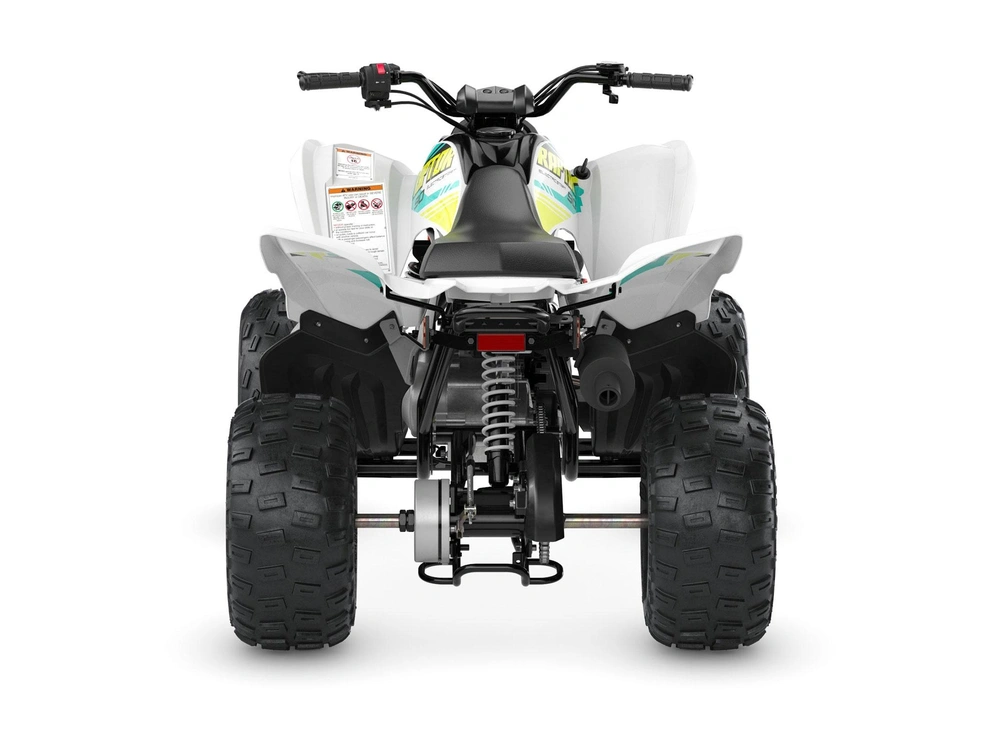 Yamaha Raptor 90 2023 alt