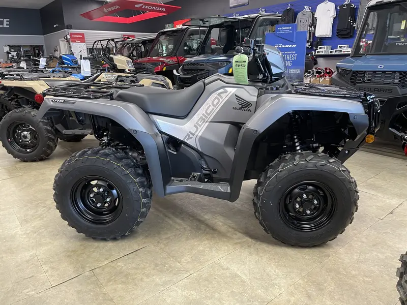 2025 Honda 2025 Honda RUBICON IRS EPS - Gray