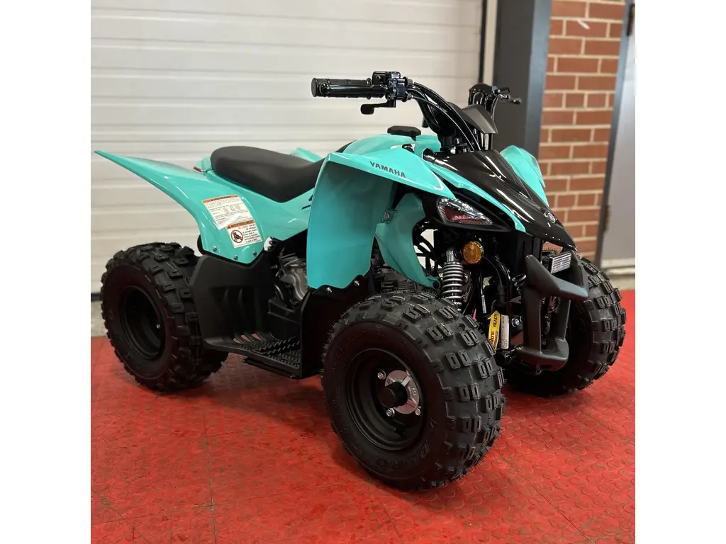 2025 Yamaha YFZ 50 