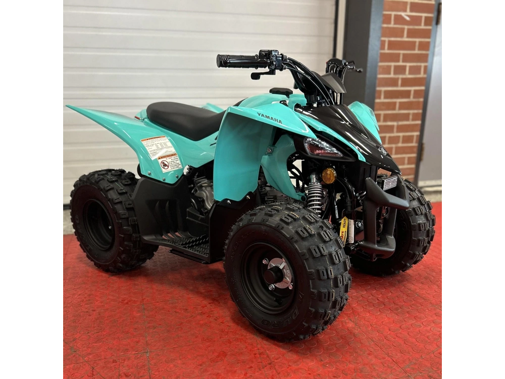 2025 Yamaha Yfz 50 alt