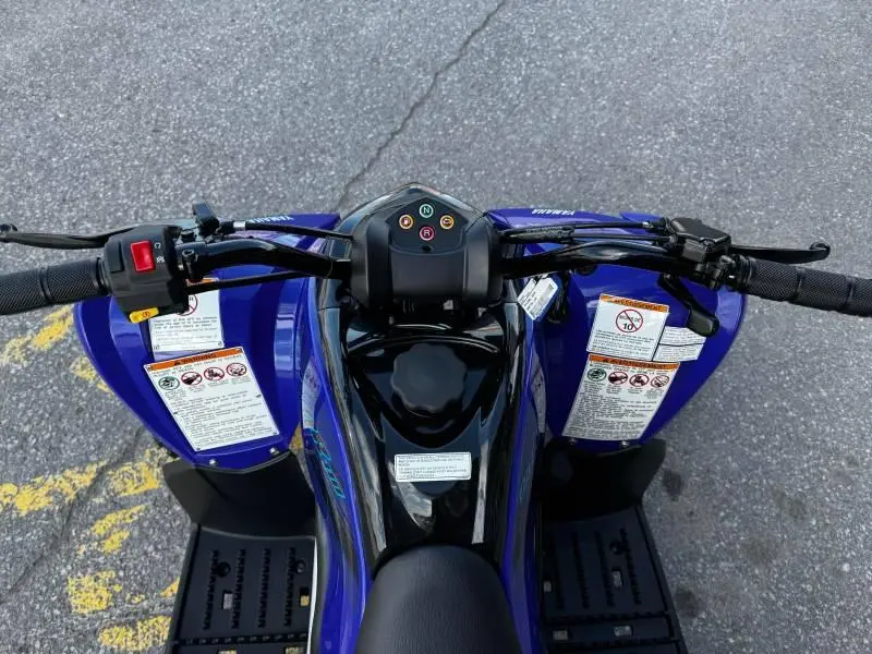 2025 Yamaha Raptor 110