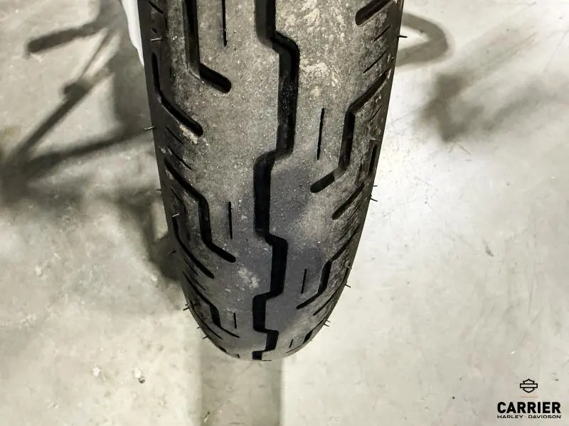 2023 Harley-Davidson Moto Harley-Davidson SOFTAIL STANDARD 2023 thumbnail 5