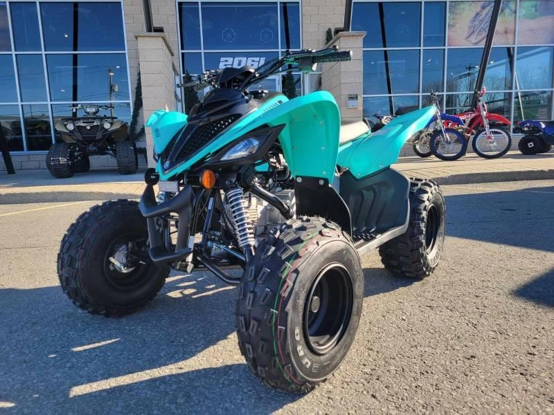 2025 Yamaha Raptor 110 alt