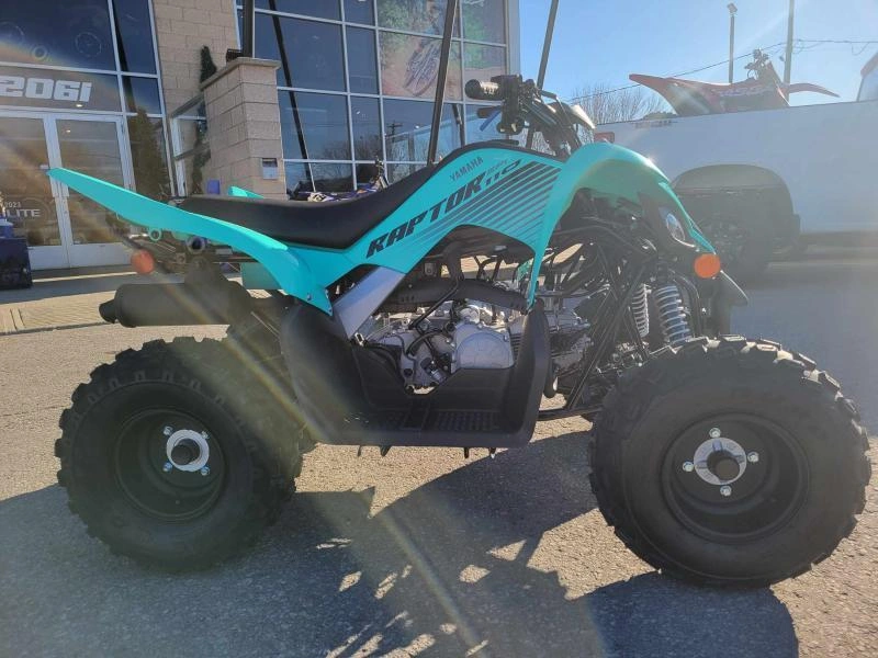 2025 Yamaha Raptor 110 alt