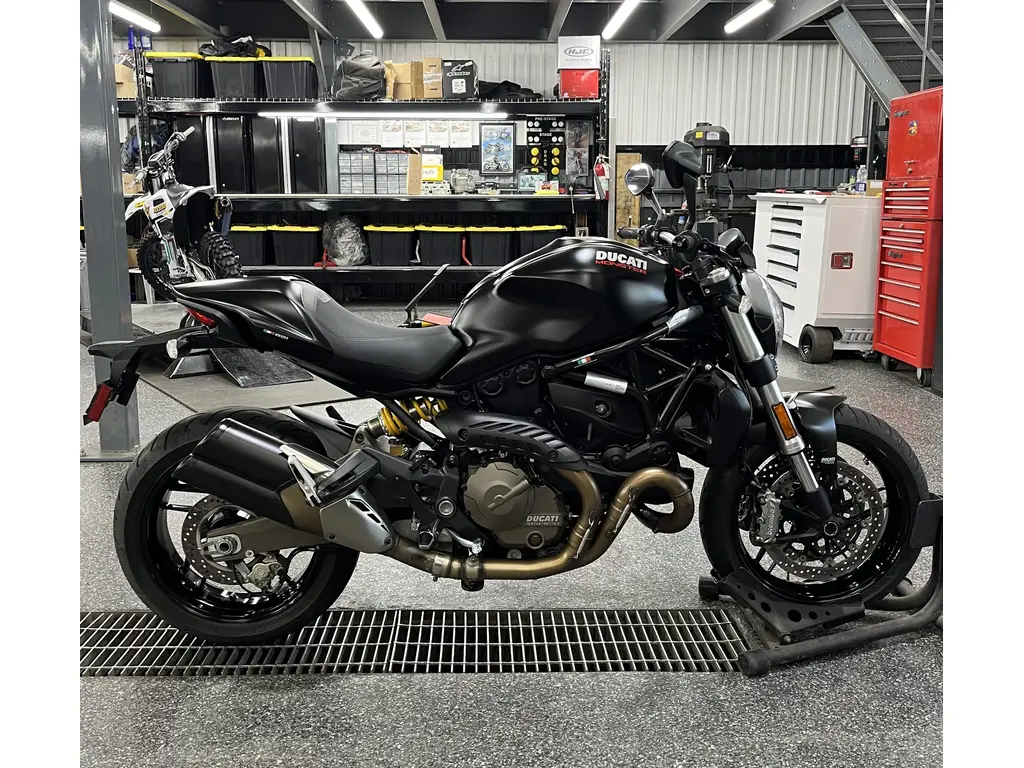 2015 Ducati MONSTER 821