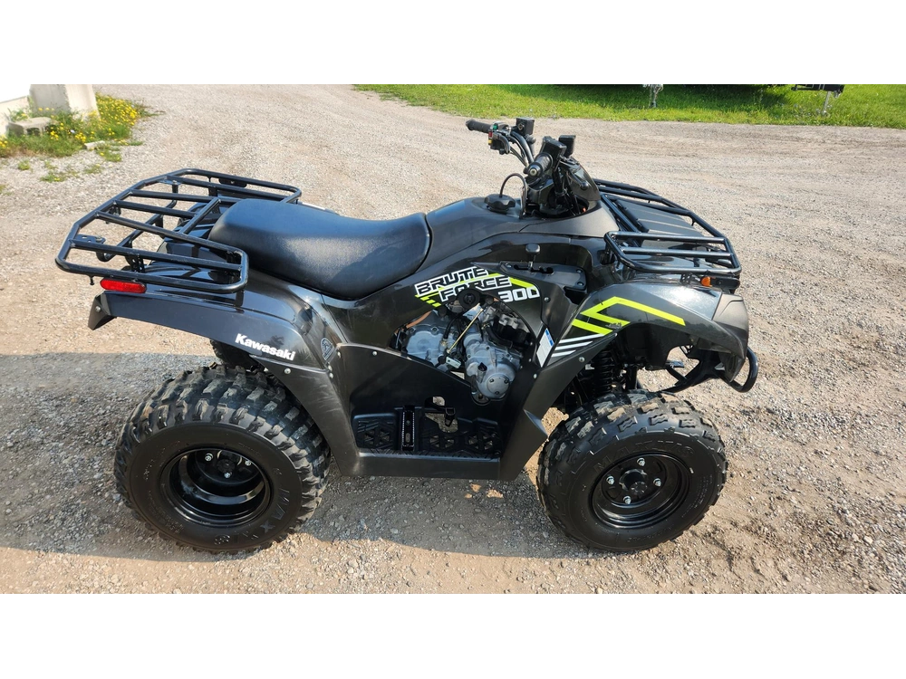 2022 Kawasaki Kvf300cnfnn alt