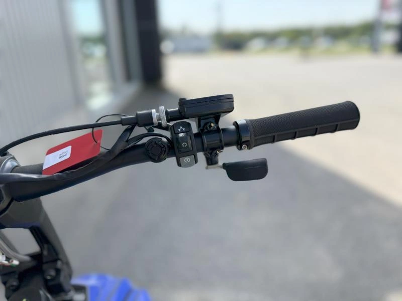 2024 Widescape Ws250 alt