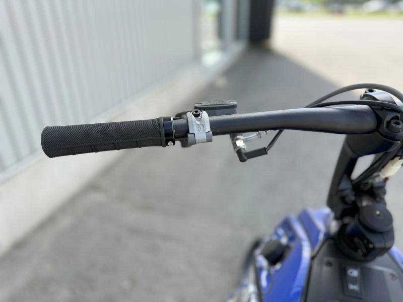 2024 Widescape Ws250 alt