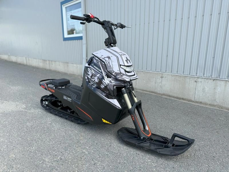2024 Widescape Ws250 alt