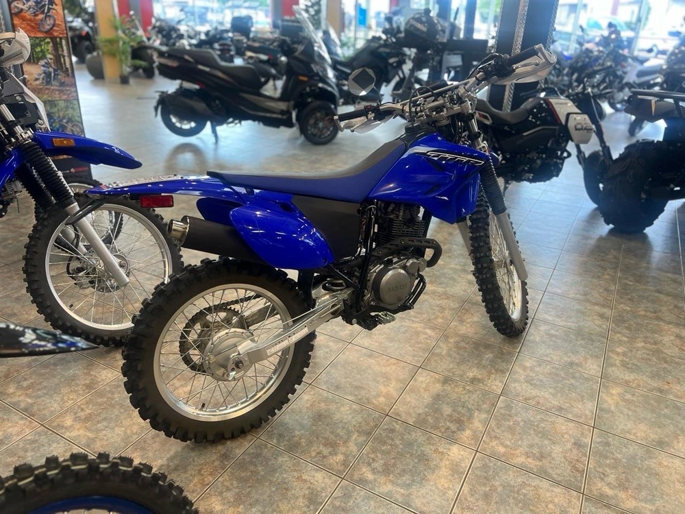 Yamaha Ttr 230 2023 alt
