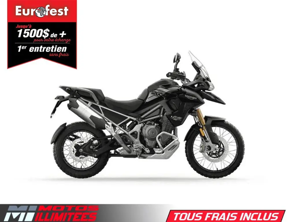 2025 Triumph Tiger 1200 Rally Pro 