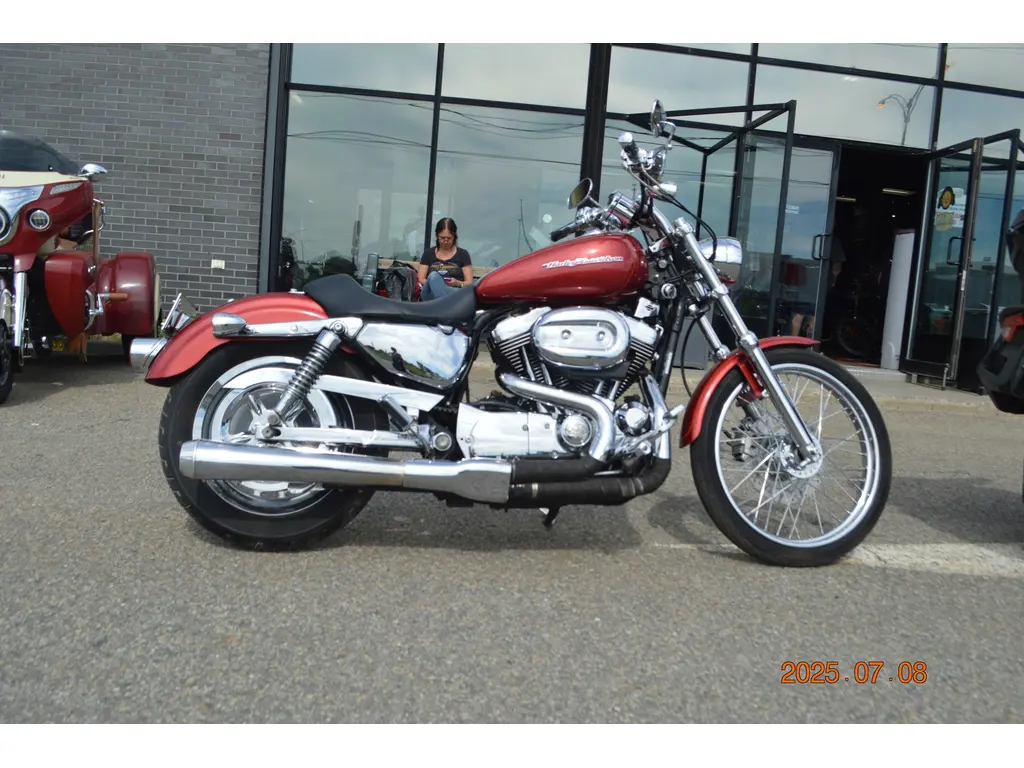 2004 Harley-Davidson XL1200