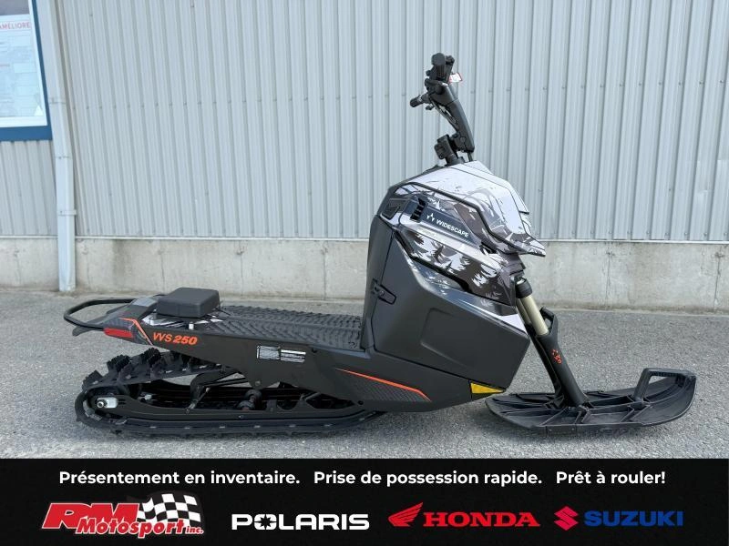 2024 Widescape Ws250 alt