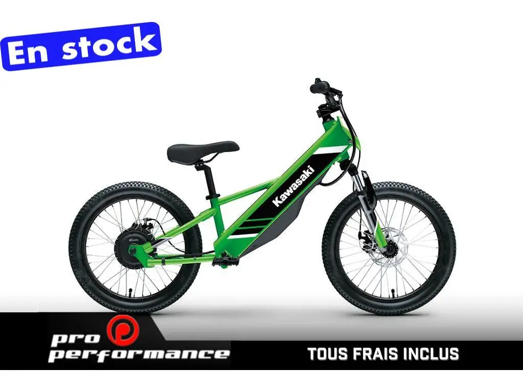 2025 Kawasaki ELEKTRODE 20 
