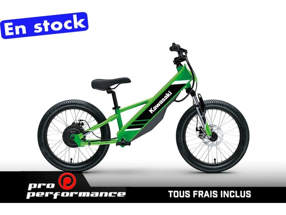 2025 Kawasaki Elektrode 20 alt