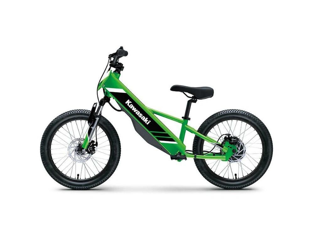 Kawasaki Elektrode 20 2025 alt