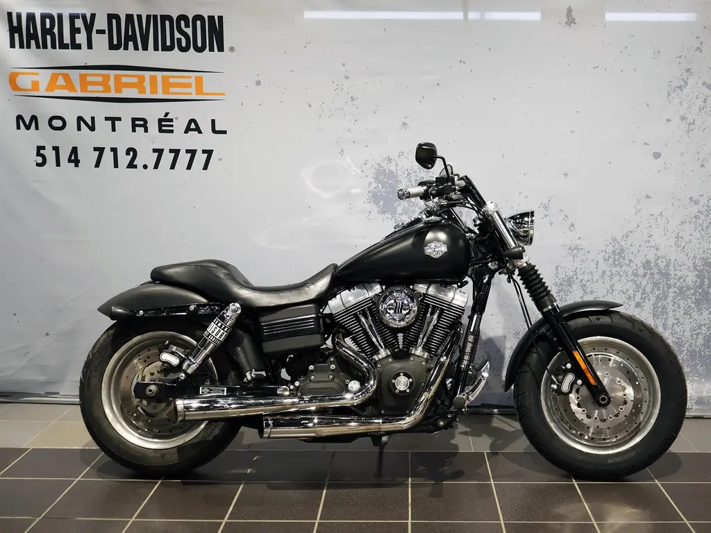 2009 Harley-Davidson Fat Bob FXDF
